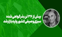 بیش از ۳۴ تن بذر گواهی شده سبزی و صیفی کشور وارد بازار شد