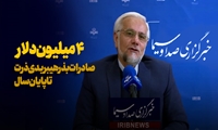 ۴ میلیون دلار صادرات بذر هیبریدی ذرت تا پایان سال1402