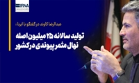 معاون تحقیقات نهال در گفتگو با ایرنا : تولید سالانه ۲۵ میلیون اصله نهال مثمر پیوندی در کشور