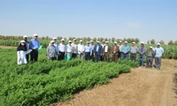 استفاده از ظرفیت بخش غیر دولتی در انجام آزمونهای فنی ارزیابی توان تولید زراعی ارقام جدید