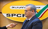 معاون وزیر جهاد کشاورزی: معرفی ارقام کشاورزی با ضریب نفوذ بالای تولید ضروری است